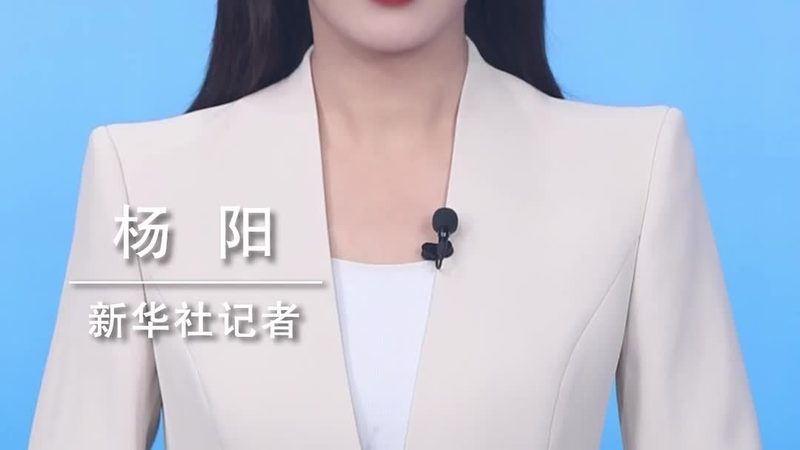 科技服务外包报价：揭秘企业决策的关键要素